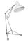 Floor Lamp in Aluminum 3