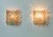 Mid-Century Wandlampen aus Muranoglas in Blumen-Optik, 2er Set 5