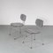 Model CT2 Dining Chairs by Willy van de Meeren for Tubax, Set of 2, Image 2