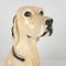 Large Vintage Glazed Ceramic Dog Figurine, 1960s 4