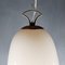 Large Murano Glass Pendant Lamp by J.T. Kalmar for Kalmar 4