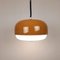 Large Mid-Century Meduza Pendant Lamp 1