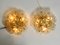 Brass and Crystal Glass Flower Ceiling Lamps from Ernst Palme, 1970s, Set of 2 4