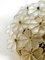 Brass and Crystal Glass Flower Ceiling Lamp from Ernst Palme, 1970s 13