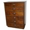 German Oak Apothecary Cabinet, Mid-20th Century, Image 1