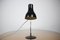 Mid-Century Table Lamp, 1960s 3