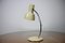 Lampe de Bureau Mid-Century, 1960s 2