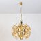 Flower Bulb Murano Glass and Brass Sputnik Ceiling Lamp by Simon & Schelle, 1970 2