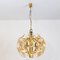 Flower Bulb Murano Glass and Brass Sputnik Ceiling Lamp by Simon & Schelle, 1970, Image 2