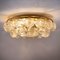 Large Flush Mount Light Fixture in Glass, Brass & Nickel from Doria, 1960s 9