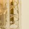 Structured Ice Glass and Brass Wall Sconces from Doria, 1960, Set of 2, Image 2