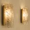 Structured Ice Glass and Brass Wall Sconces from Doria, 1960, Set of 2 4