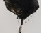Baribeau, Stem In Black # 4, 2018, carbón vegetal y aceite sobre papel, Imagen 3