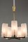 Viennese Frosted Glass Chandelier by J.T. Kalmar, 1960s 8