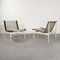 Garden Chairs by Richard Schultz for Knoll Inc. / Knoll International, 1960s, Set of 2 2