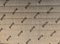 Divano a due posti Bastiano Mid-Century in pelle grigia di Tobia Scarpa per Knoll Inc. / Knoll International, Immagine 3