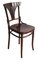 221 Dining Chairs by Michael Thonet for Thonet, 1910s, Set of 2 2