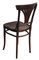 221 Dining Chairs by Michael Thonet for Thonet, 1910s, Set of 2 6