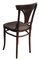 221 Dining Chairs by Michael Thonet for Thonet, 1910s, Set of 2, Image 6