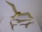 Vintage Brass Bird Wall Decoration, Set of 4 5