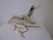 Vintage Brass Bird Wall Decoration, Set of 4, Image 15