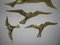 Vintage Brass Bird Wall Decoration, Set of 4, Image 7