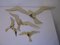 Vintage Brass Bird Wall Decoration, Set of 4 1