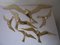 Vintage Brass Bird Wall Decoration, Set of 6 20