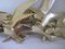 Vintage Brass Bird Wall Decoration, Set of 6 17