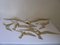 Vintage Brass Bird Wall Decoration, Set of 6 19