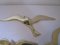 Vintage Brass Bird Wall Decorations, Set of 3 10