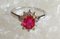 18 Carat Gold Ring with Ruby and Diamonds 9