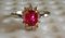 18 Carat Gold Ring with Ruby and Diamonds 20