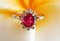 18 Carat Gold Ring with Ruby and Diamonds 16