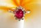 Anello in oro 18 carati con rubino e diamanti, Immagine 16