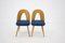 Dining Chairs by Antonin Suman, Czechoslovakia, 1960s, Set of 4 4
