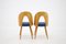 Dining Chairs by Antonin Suman, Czechoslovakia, 1960s, Set of 4, Image 8