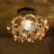 Amber Bubble Flush Mount / Wall Sconce by Helena Tynell, 1960s 15