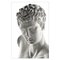 Plaster Bust of Hermes, Image 4