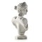 Busto in Artemis in gesso, Immagine 2