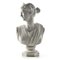 Busto in Artemis in gesso, Immagine 1