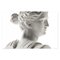 Buste Artemis en Plâtre 5