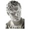 Büste aus Caracalla in Gips 4