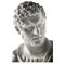 Bust of Caracalla in Plaster 4