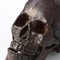 Sculpture Skull en Bronze 10