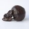 Bronze Skull Sculpture 4