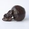 Bronze Skull Sculpture, Image 4