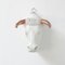Weißer Bullsit von Hans Weyers, 2019 3