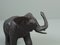 Elefante antico giapponese, Immagine 12