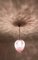 Pink Murano Glass Pendant Lamp, 1960s 12